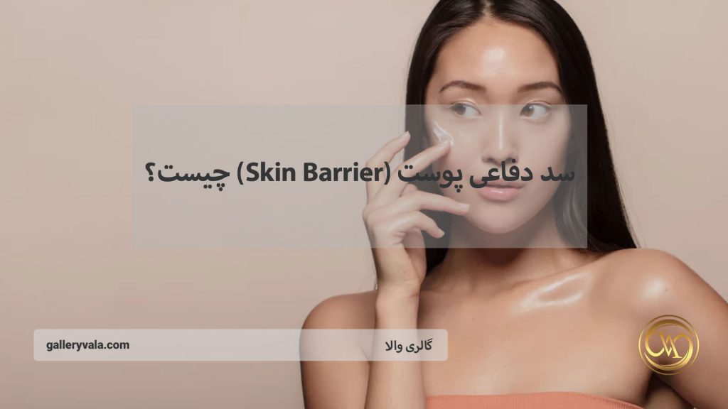 سد دفاعی پوست (Skin Barrier) چیست؟ راهکارهای تقویت آن با محصولات تخصصی در ۲۰۲۵ | گالری والا