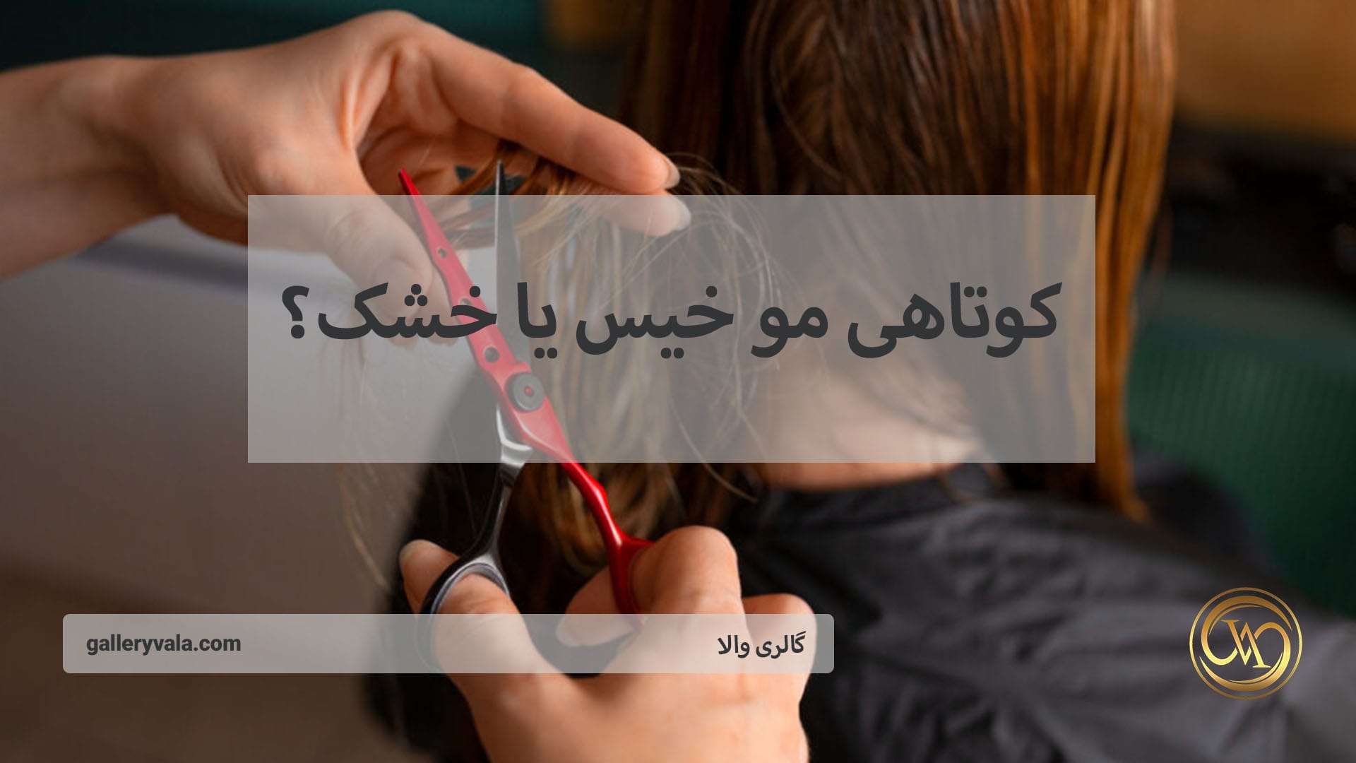 کوتاهی مو خیس یا خشک؟ | گالری والا